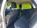 Ford Focus Focus Traveller 1,5 TDCi Trend Trend Weiß - thumbnail 8
