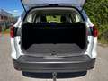 Ford Focus Focus Traveller 1,5 TDCi Trend Trend Weiß - thumbnail 10
