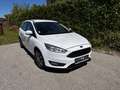 Ford Focus Focus Traveller 1,5 TDCi Trend Trend Weiß - thumbnail 1