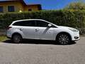 Ford Focus Focus Traveller 1,5 TDCi Trend Trend Weiß - thumbnail 3