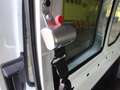 Ford Transit Kombi 350 L3H2 Trend BTW  KMP Flexboden Blanc - thumbnail 33