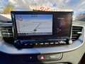 Kia Ceed / cee'd SW 1.6 crdi mhev Business 136cv dct Gris - thumbnail 13