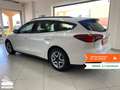 Ford Focus Focus 1.5 EcoBlue 120 CV automatico SW Active X Blanc - thumbnail 3