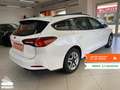 Ford Focus Focus 1.5 EcoBlue 120 CV automatico SW Active X Blanc - thumbnail 5