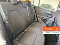 Ford Focus Focus 1.5 EcoBlue 120 CV automatico SW Active X Blanc - thumbnail 24