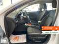 Ford Focus Focus 1.5 EcoBlue 120 CV automatico SW Active X Blanc - thumbnail 9