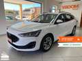 Ford Focus Focus 1.5 EcoBlue 120 CV automatico SW Active X Blanc - thumbnail 2