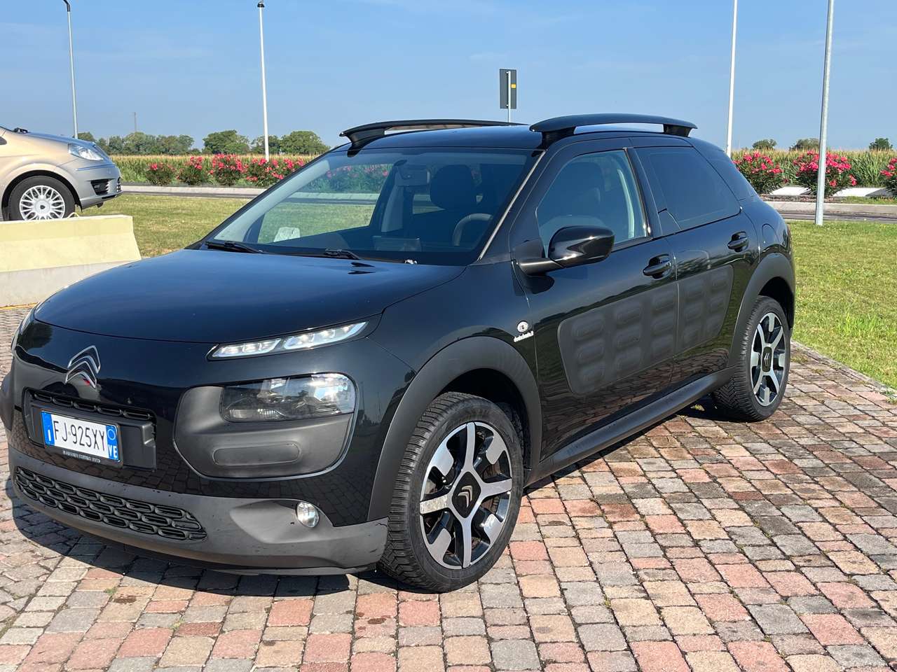 Citroen C4 Cactus C4 Cactus 2014 1.6 bluehdi Shine 100cv