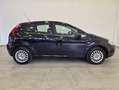 Fiat Punto Punto 1.2 8V 5 porte - NEOPATENTATI - Clima - MP3 Blu/Azzurro - thumbnail 6