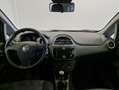 Fiat Punto Punto 1.2 8V 5 porte - NEOPATENTATI - Clima - MP3 Blu/Azzurro - thumbnail 9