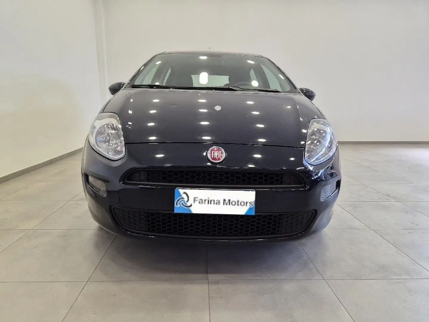 Fiat Punto Punto 1.2 8V 5 porte - NEOPATENTATI - Clima - MP3 Blu/Azzurro - 2