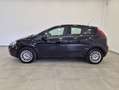 Fiat Punto Punto 1.2 8V 5 porte - NEOPATENTATI - Clima - MP3 Blu/Azzurro - thumbnail 3