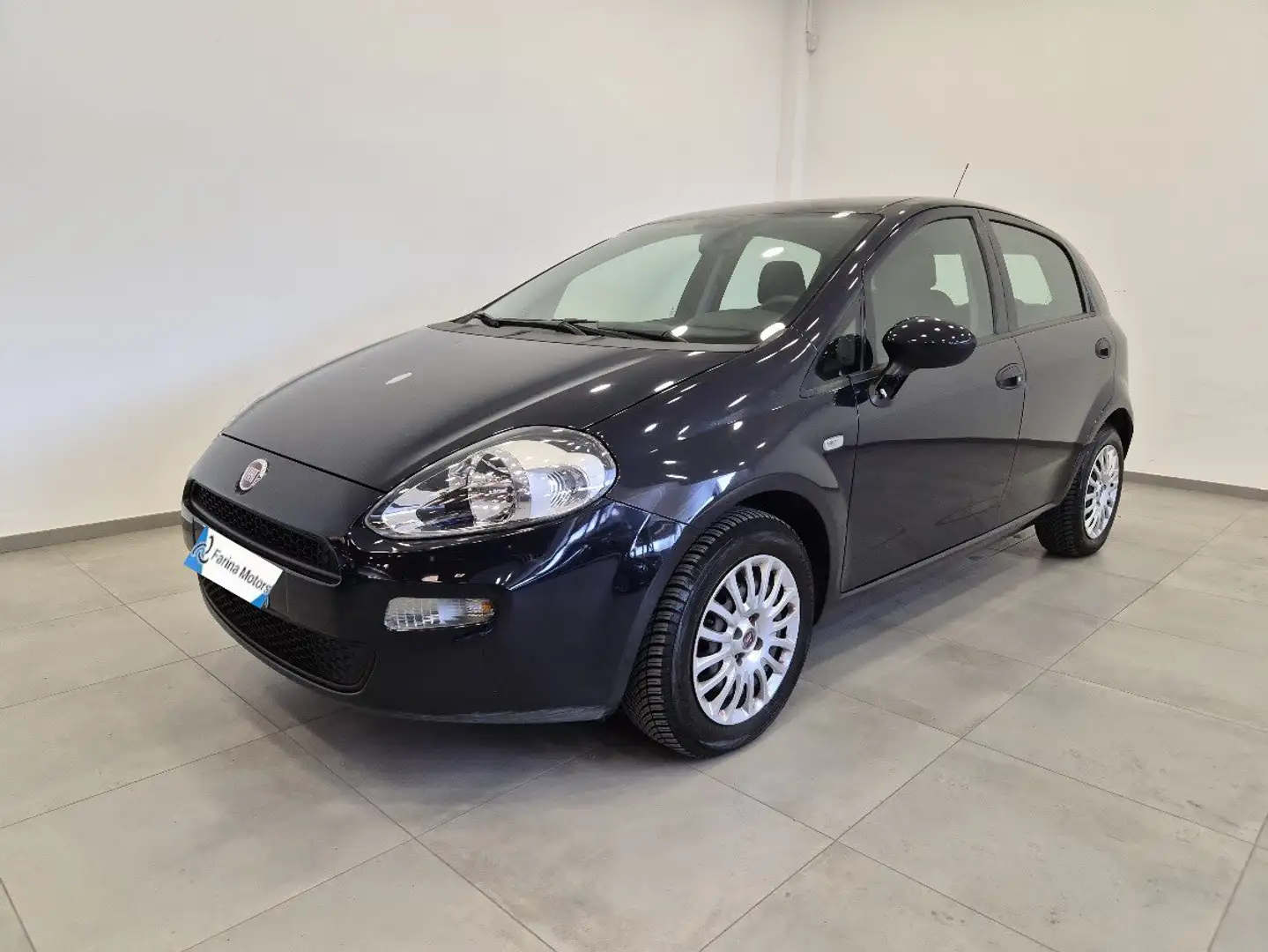 Fiat Punto Punto 1.2 8V 5 porte - NEOPATENTATI - Clima - MP3 Blu/Azzurro - 1