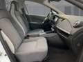 Renault ZOE EXPER.R135 Z.E 50 CCS Inkl.Batterie Blanc - thumbnail 8
