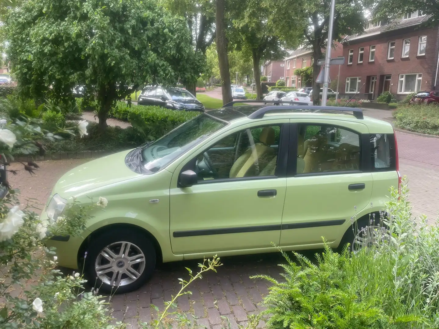 Fiat Panda Panda 1.2 Emotion Groen - 1