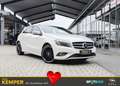 Mercedes-Benz A 180 A-Klasse A180 Autom. *Xenon*Navi* Weiß - thumbnail 1