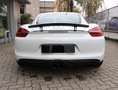 Porsche Cayman 2.7 275 CV Weiß - thumbnail 6