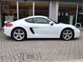 Porsche Cayman 2.7 275 CV Bianco - thumbnail 4