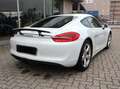 Porsche Cayman 2.7 275 CV Bianco - thumbnail 5