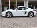 Porsche Cayman 2.7 275 CV Bianco - thumbnail 3