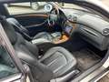 Mercedes-Benz CLK 320 Cabrio Elegance Designo Nur 55000 KM Alb - thumbnail 8