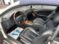 Mercedes-Benz CLK 320 Cabrio Elegance Designo Nur 55000 KM Weiß - thumbnail 6