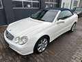 Mercedes-Benz CLK 320 Cabrio Elegance Designo Nur 55000 KM White - thumbnail 1