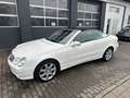 Mercedes-Benz CLK 320 Cabrio Elegance Designo Nur 55000 KM bijela - thumbnail 12