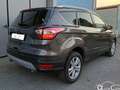 Ford Kuga 2.0 TDCI 150 CV S&S 4WD Powershift Business Grigio - thumbnail 2