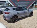 CUPRA Formentor Formentor VZ 2.0 TSI 4Drive DSG Grau - thumbnail 14