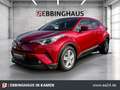 Toyota C-HR Hybrid Team D -Klimaautomatik-e-Sitze-Sitzheiz-Len Rot - thumbnail 1