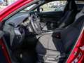 Toyota C-HR Klimaautomatik-Sitzheiz-Lenkraheiz-Rückfahrkamera- Rot - thumbnail 16