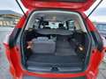Ford Grand C-Max 7 1.5 tdci 120cv Business  7 posti - FM431BL Rosso - thumbnail 8
