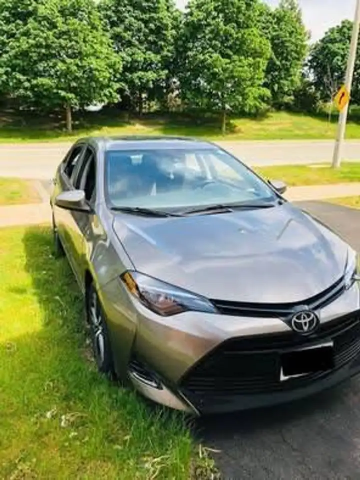2019 Toyota Corolla