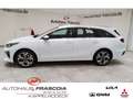 Kia Ceed SW / cee'd SW Spirit 1.4 T-GDI Navi ACC LED PDChi. Rückfahrkam A Blanc - thumbnail 8