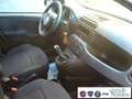 Fiat Panda 1.0 FireFly S&S Hybrid Pandina Urban Vettura Nuova Bianco - thumbnail 15