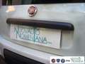 Fiat Panda 1.0 FireFly S&S Hybrid Pandina Urban Vettura Nuova Bianco - thumbnail 7