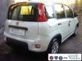 Fiat Panda 1.0 FireFly S&S Hybrid Pandina Urban Vettura Nuova Bianco - thumbnail 5
