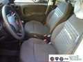 Fiat Panda 1.0 FireFly S&S Hybrid Pandina Urban Vettura Nuova Bianco - thumbnail 11