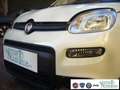Fiat Panda 1.0 FireFly S&S Hybrid Pandina Urban Vettura Nuova Bianco - thumbnail 3