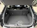 Ford Puma Titanium 360°Kamera/ACC/Navi/AppConn./BLIS Schwarz - thumbnail 8