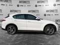 Alfa Romeo Stelvio Stelvio 2.2 Turbodiesel 210 CV AT8 Q4 Super Bianco - thumbnail 4