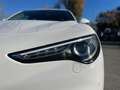 Alfa Romeo Stelvio Stelvio 2.2 Turbodiesel 210 CV AT8 Q4 Super Weiß - thumbnail 20