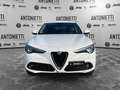 Alfa Romeo Stelvio Stelvio 2.2 Turbodiesel 210 CV AT8 Q4 Super Bianco - thumbnail 2