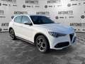 Alfa Romeo Stelvio Stelvio 2.2 Turbodiesel 210 CV AT8 Q4 Super Bianco - thumbnail 3
