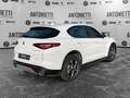 Alfa Romeo Stelvio Stelvio 2.2 Turbodiesel 210 CV AT8 Q4 Super Bianco - thumbnail 5