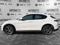 Alfa Romeo Stelvio Stelvio 2.2 Turbodiesel 210 CV AT8 Q4 Super Bianco - thumbnail 8