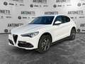 Alfa Romeo Stelvio Stelvio 2.2 Turbodiesel 210 CV AT8 Q4 Super Bianco - thumbnail 1