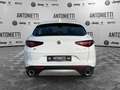 Alfa Romeo Stelvio Stelvio 2.2 Turbodiesel 210 CV AT8 Q4 Super Bianco - thumbnail 6