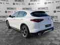 Alfa Romeo Stelvio Stelvio 2.2 Turbodiesel 210 CV AT8 Q4 Super Bianco - thumbnail 7
